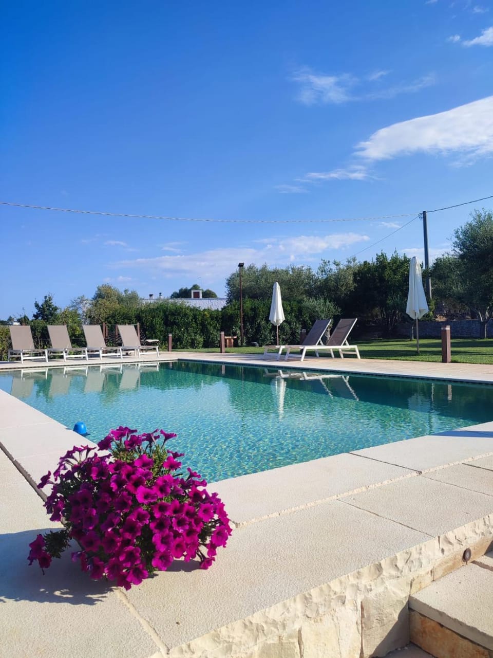 Swimming pool, Swimming pool