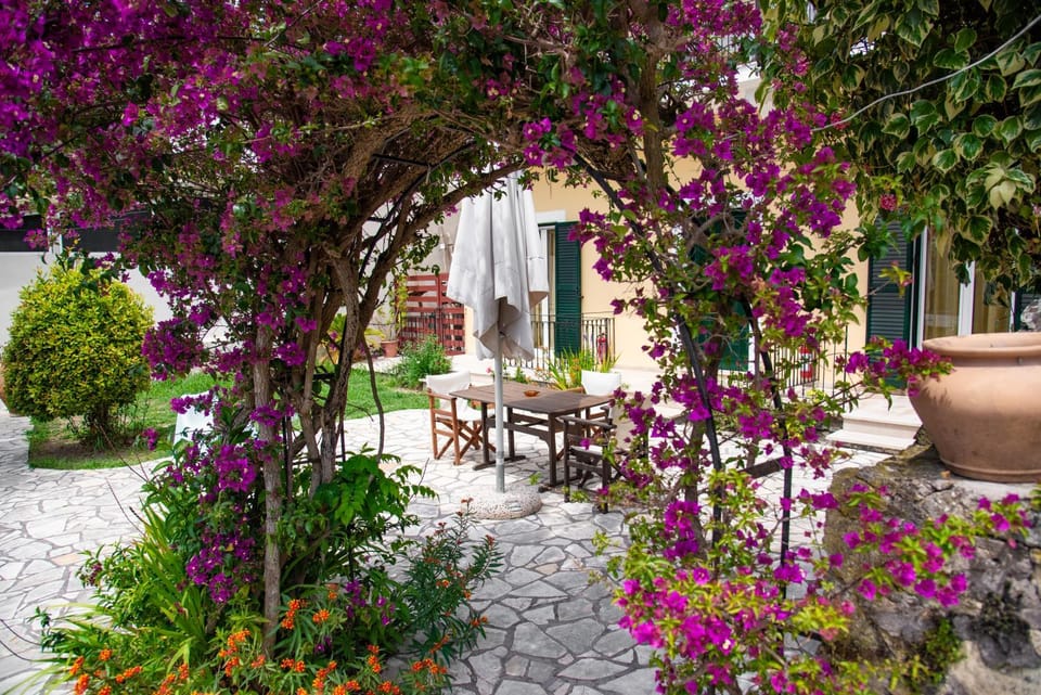 Patio, Spring, Day, Garden, Garden view, Garden view