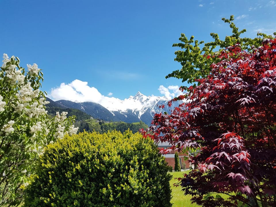 Garden view, Mountain view