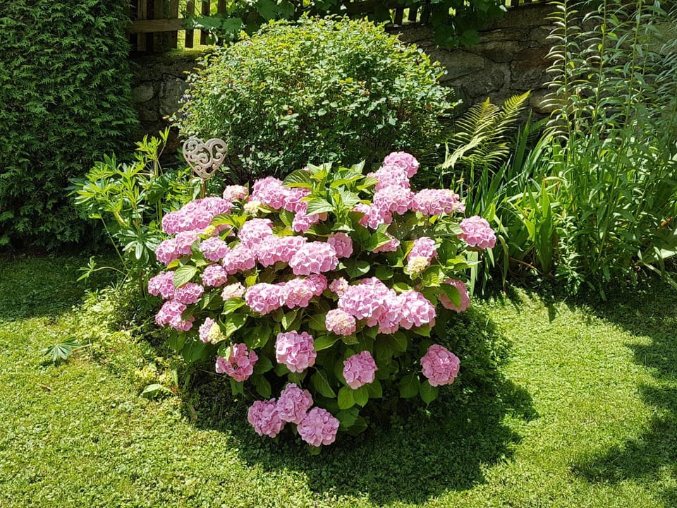 Garden, Garden view
