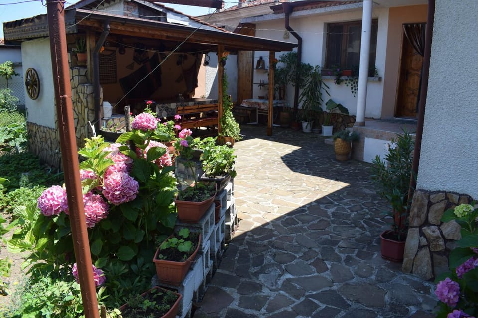 Property building, Patio, Day, Summer, On site, Garden view