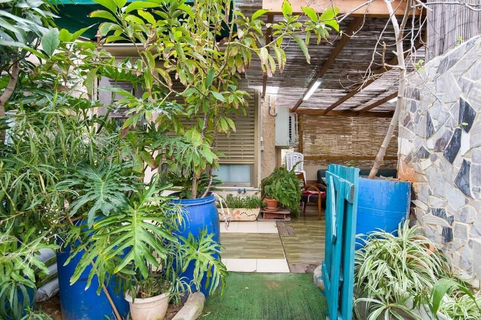 Patio, Garden, Garden view