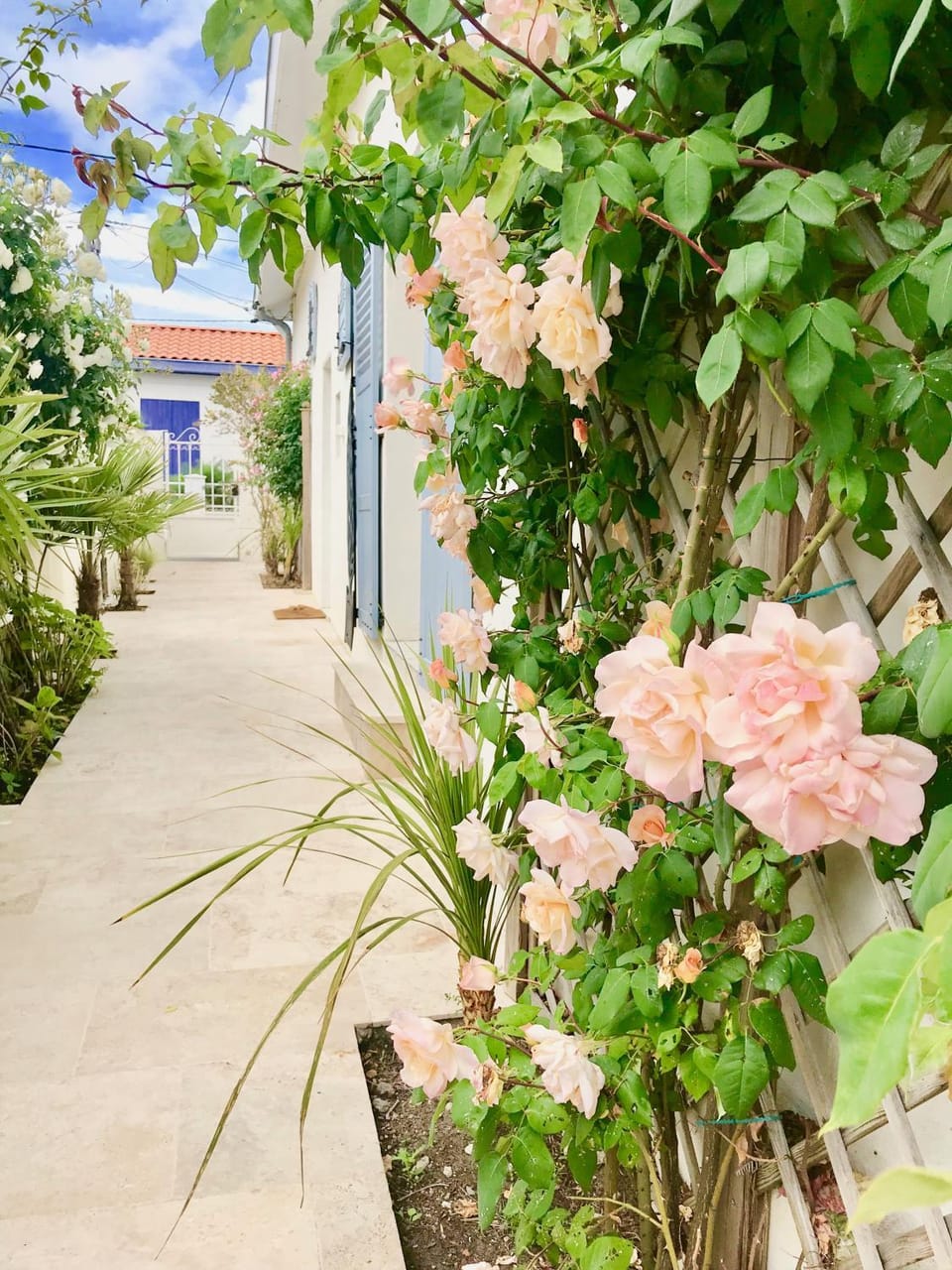 Garden, Area and facilities