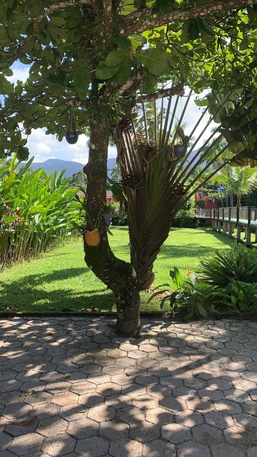 Garden, Garden view