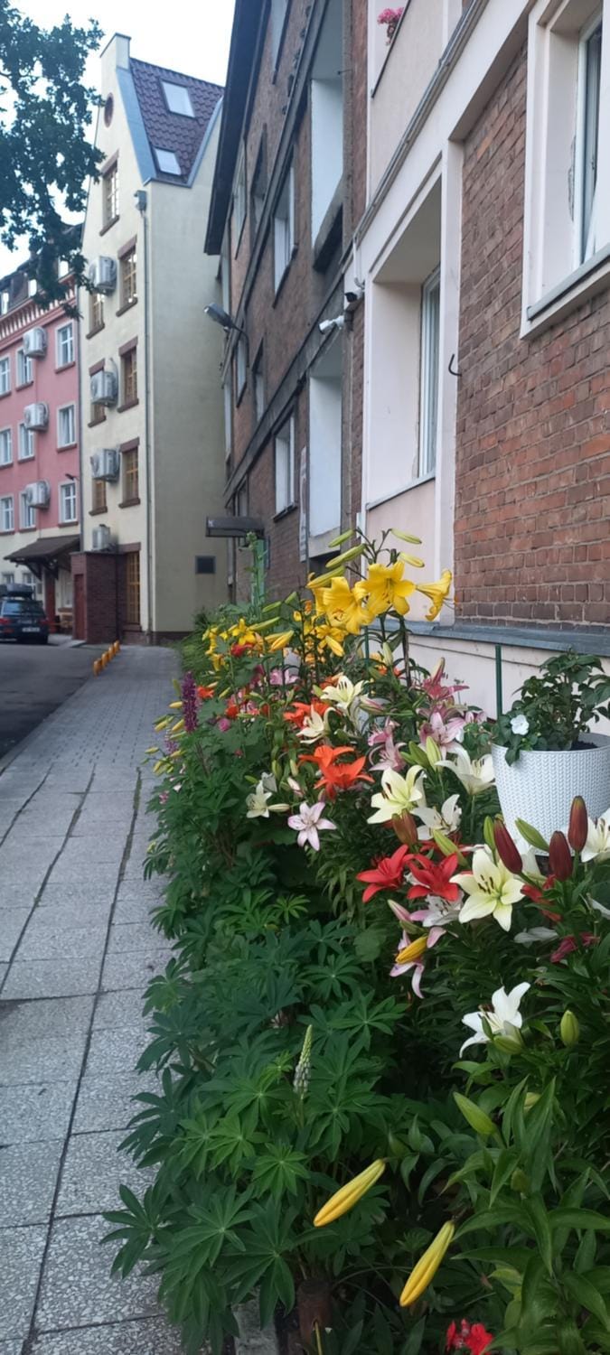 Studio Four Seasons with parking place Apartment in Gdansk