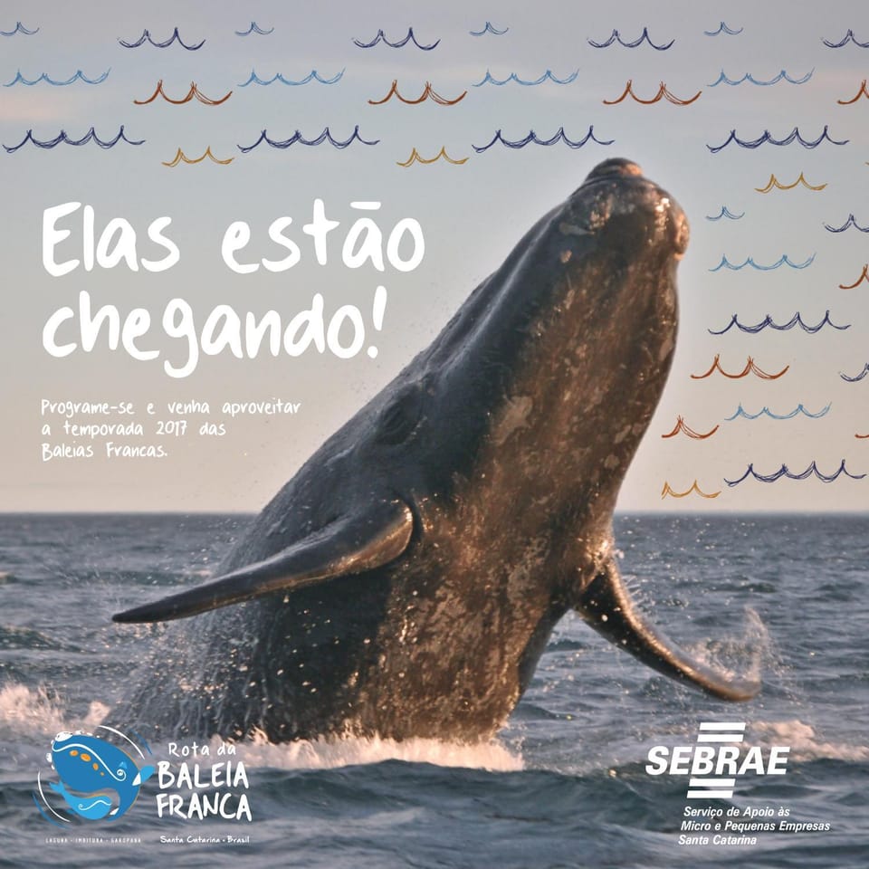 Animals, Text overlay