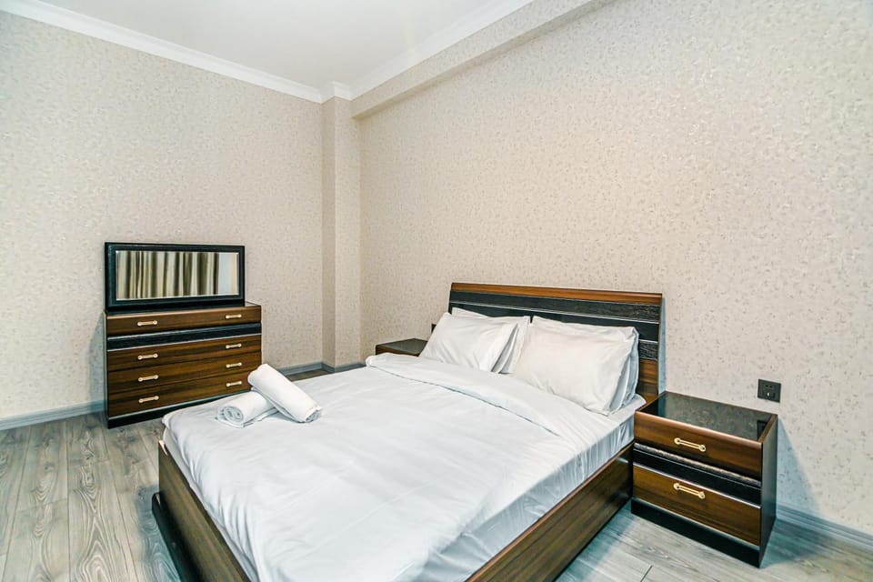 VIP and Deluxe property in Nizami Apartment in Baku