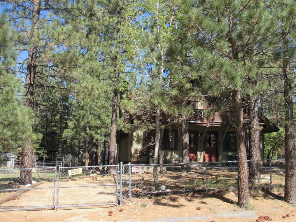 Natural landscape, Pets, pet friendly