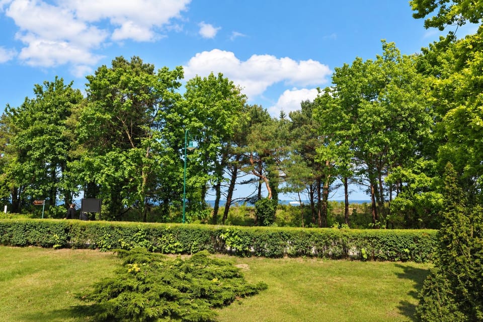 Natural landscape