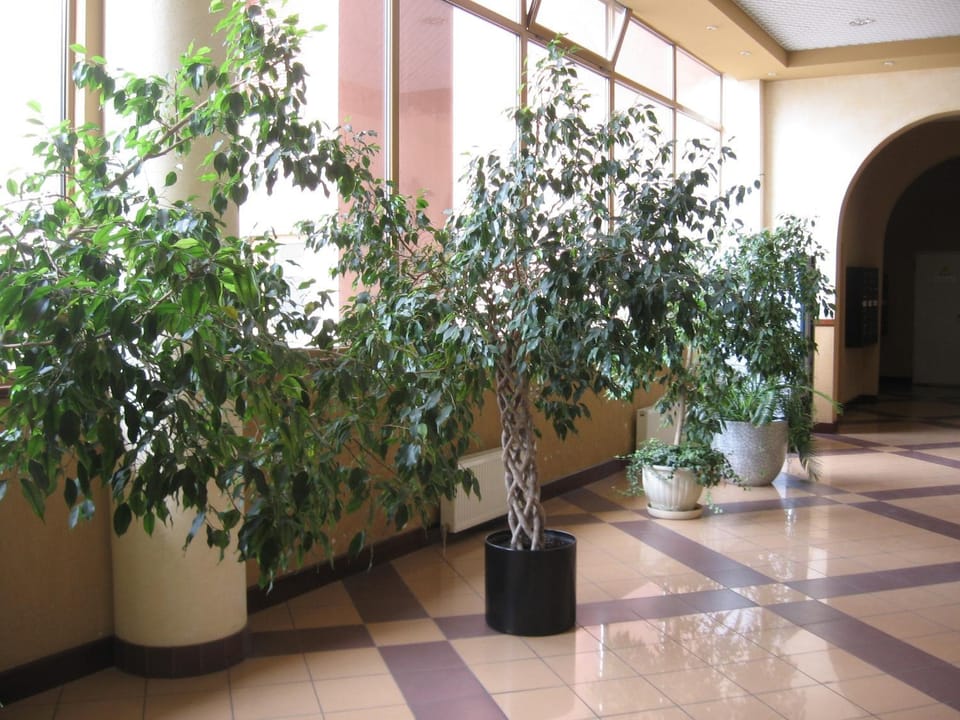 Area and facilities