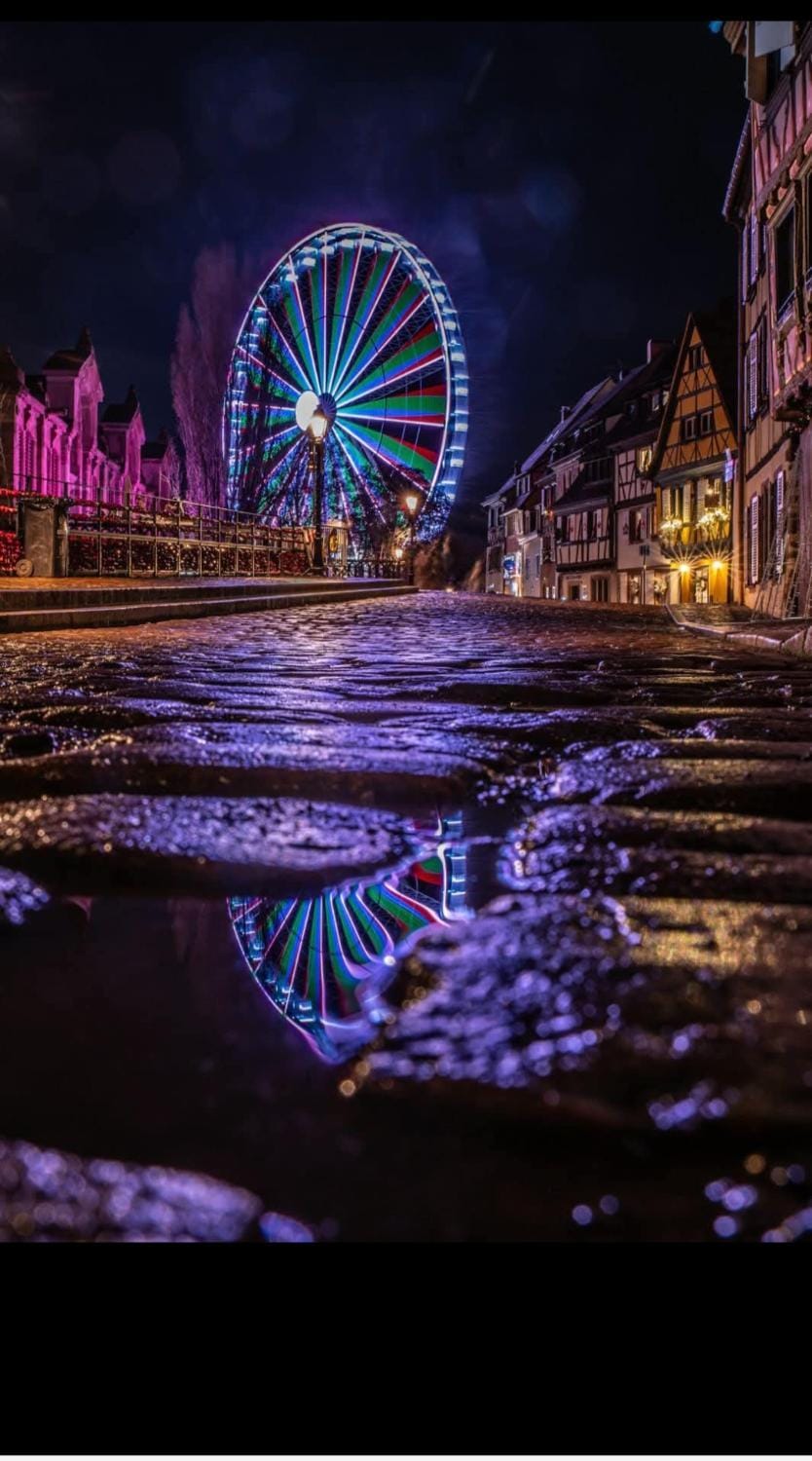 Au Chasseur Apartment in Colmar