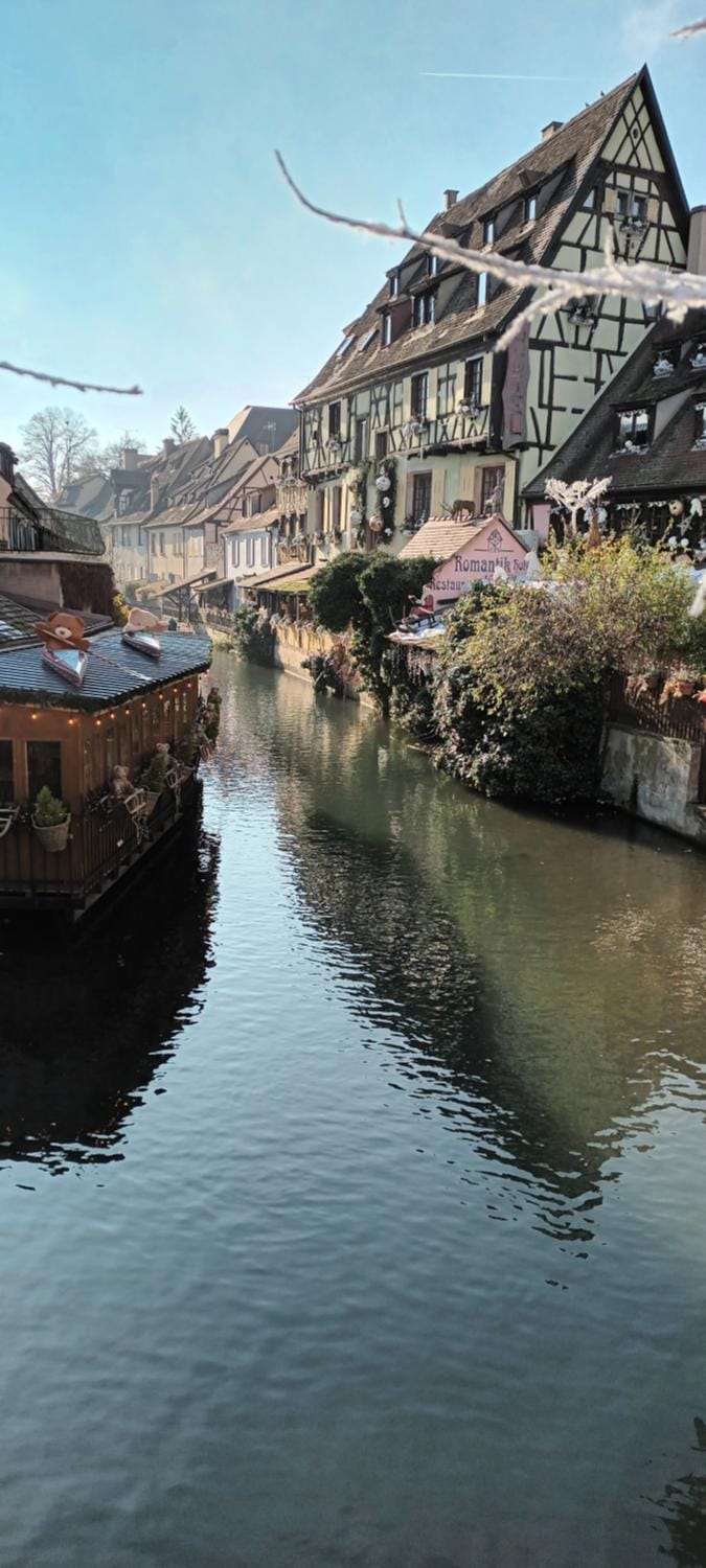 Au Chasseur Apartment in Colmar
