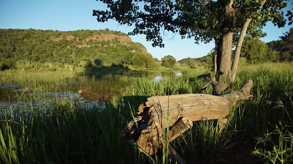 Spring, Natural landscape, Mountain view, River view