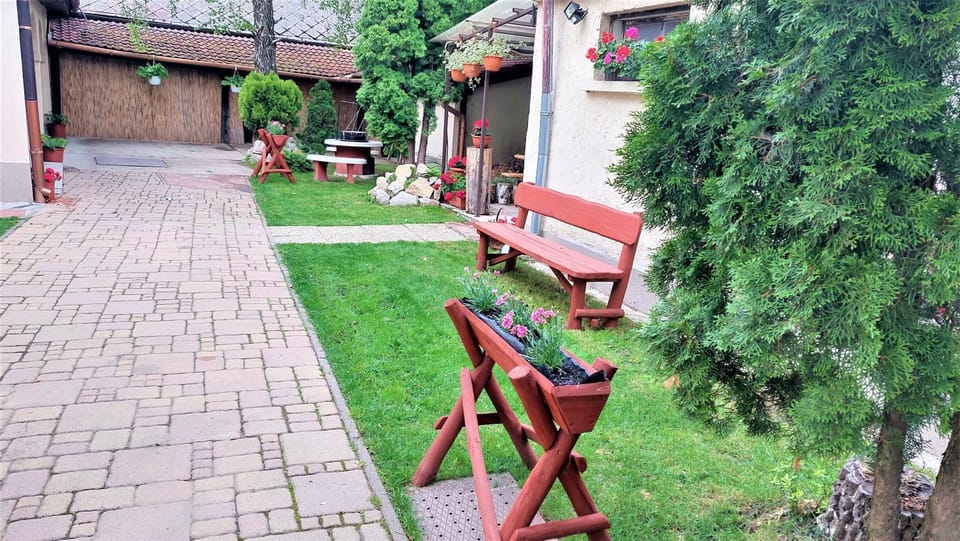 Garden, Garden view, Inner courtyard view
