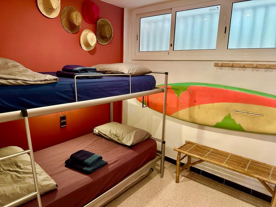 Bed, Photo of the whole room, Bedroom, bunk bed