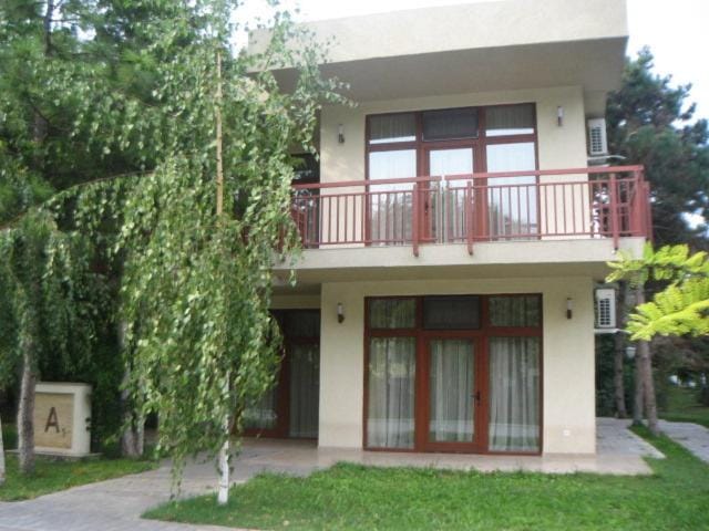 Property building, Day