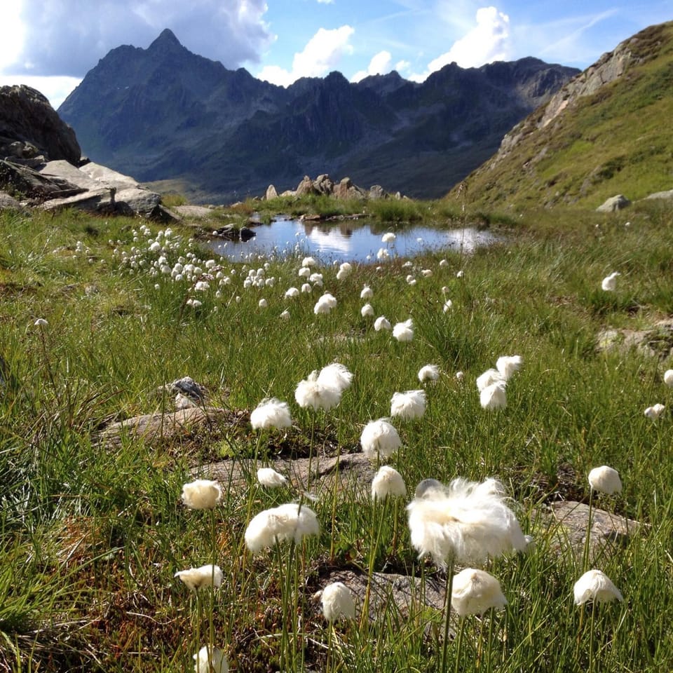 Alpenpension Maderer Bed and Breakfast in Vorarlberg, Austria