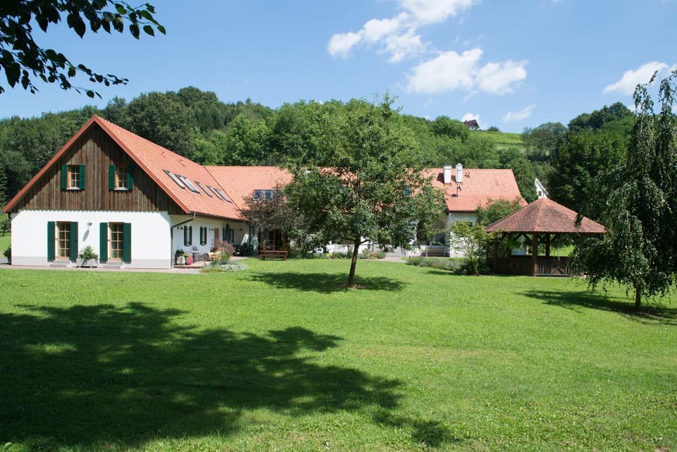 Property building, Garden view