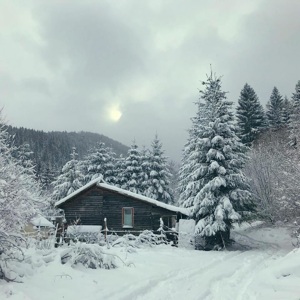 Neighbourhood, Mountain view