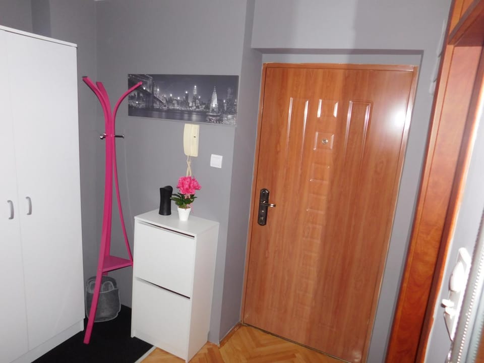 Velvet Lux Apartment in Serbia