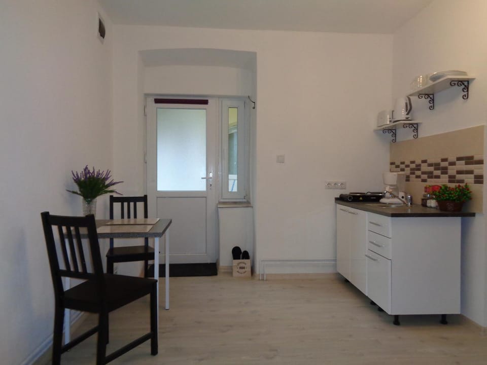 Alexandra Studios Apartment in Sibiu