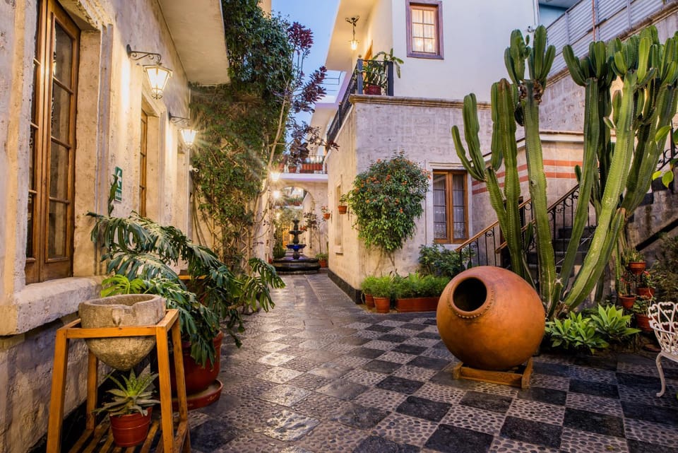 Patio, Natural landscape, Garden