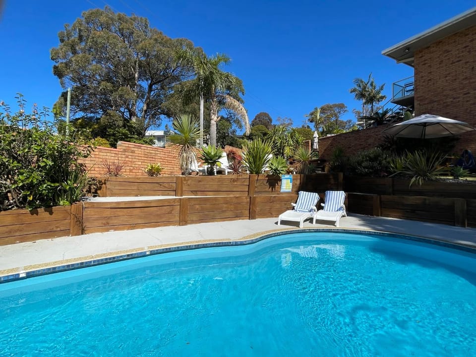 Garden, Swimming pool, sunbed