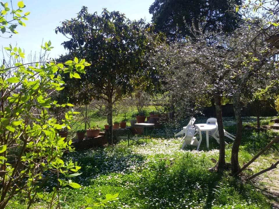 La Campesa Country House in Tuscany
