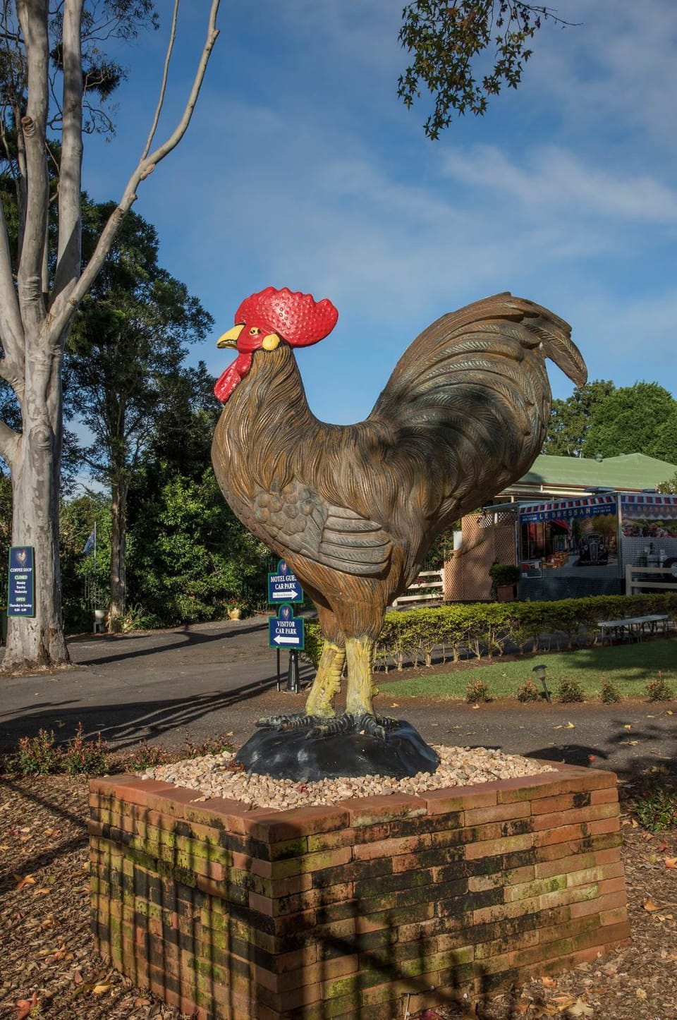 Maleny Hills Motel Motel in Balmoral Ridge