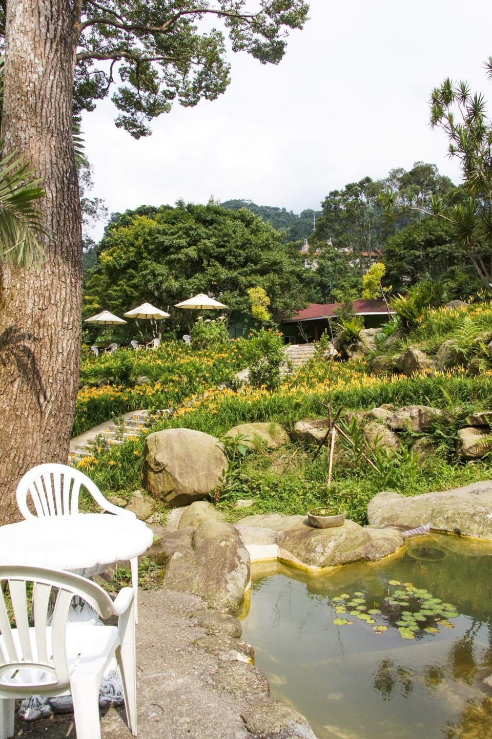 Hemerocallis Country House Vacation rental in Taiwan, Province of China