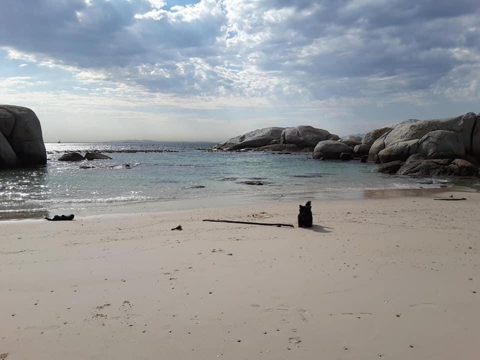 Off site, Beach, Autumn, Pets, Sea view