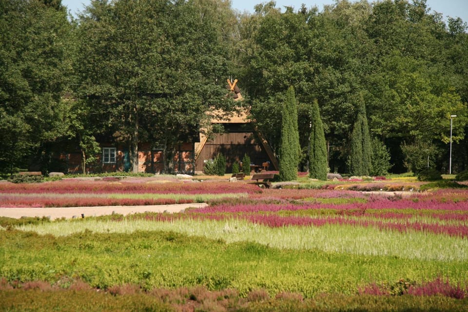 Natural landscape