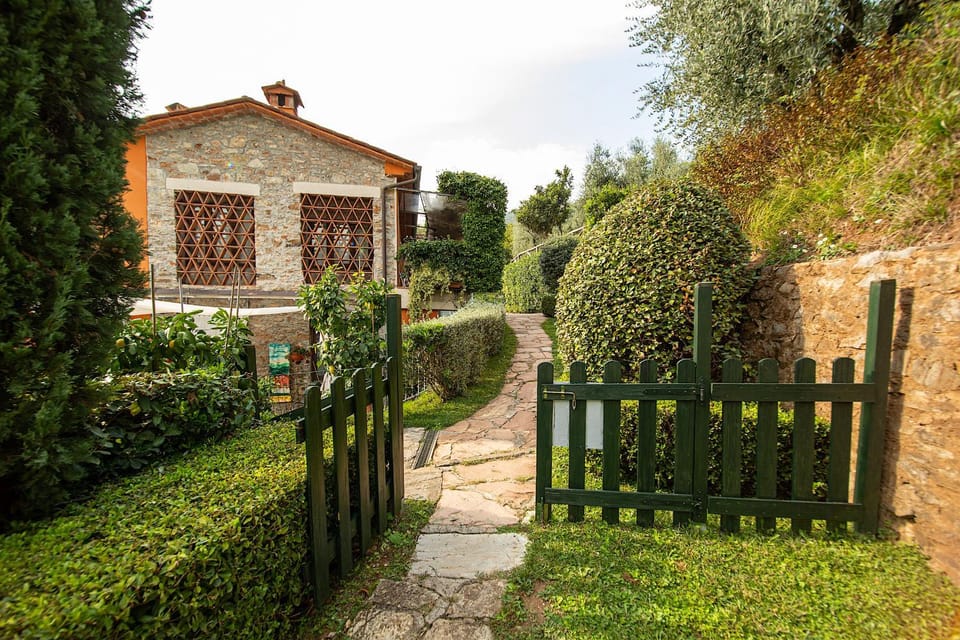 Patio, Garden, Garden view