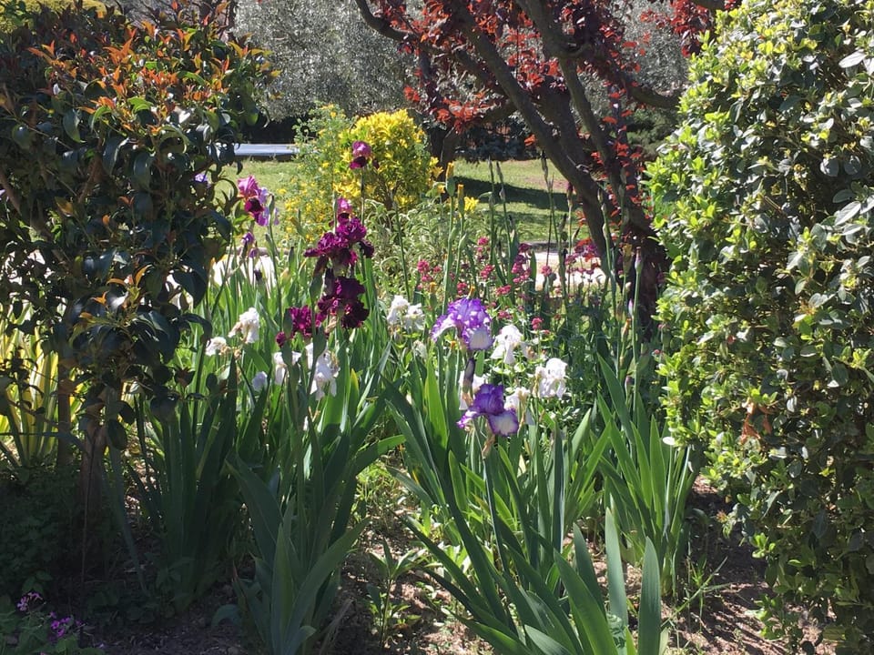Le Nid au Pied du Mont Ventoux Bed and Breakfast in Malaucène
