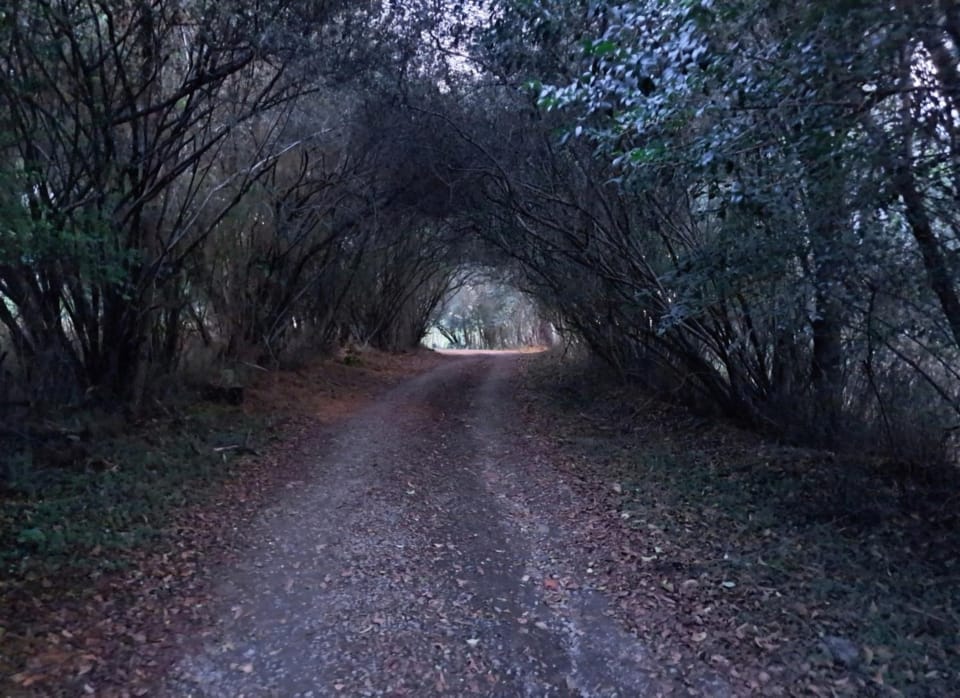 Wild Hare Cottages Farm Stay in KwaZulu-Natal