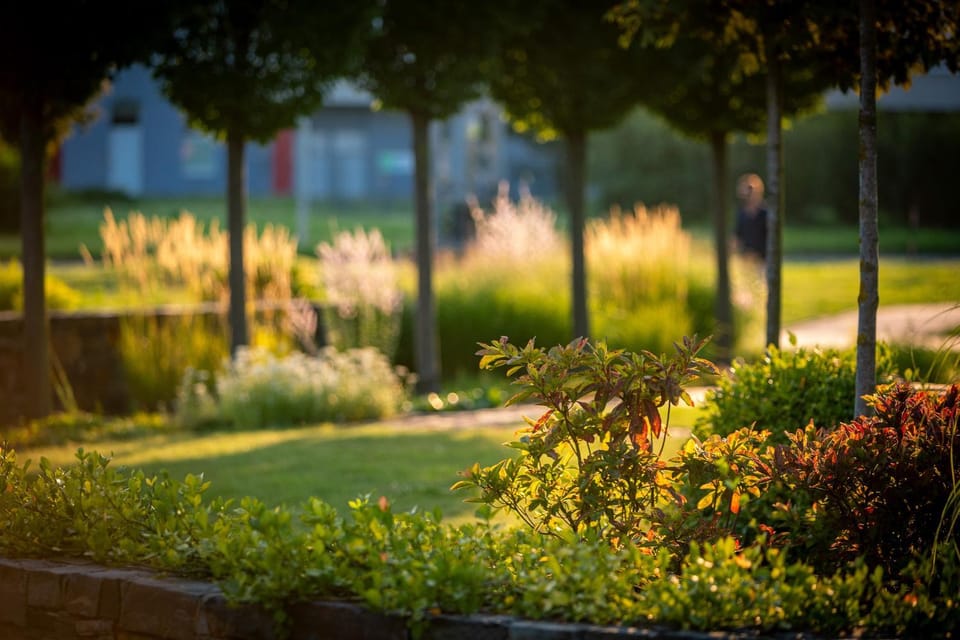 Garden, Garden view