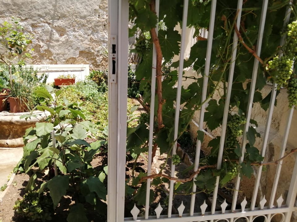 Garden, Garden view