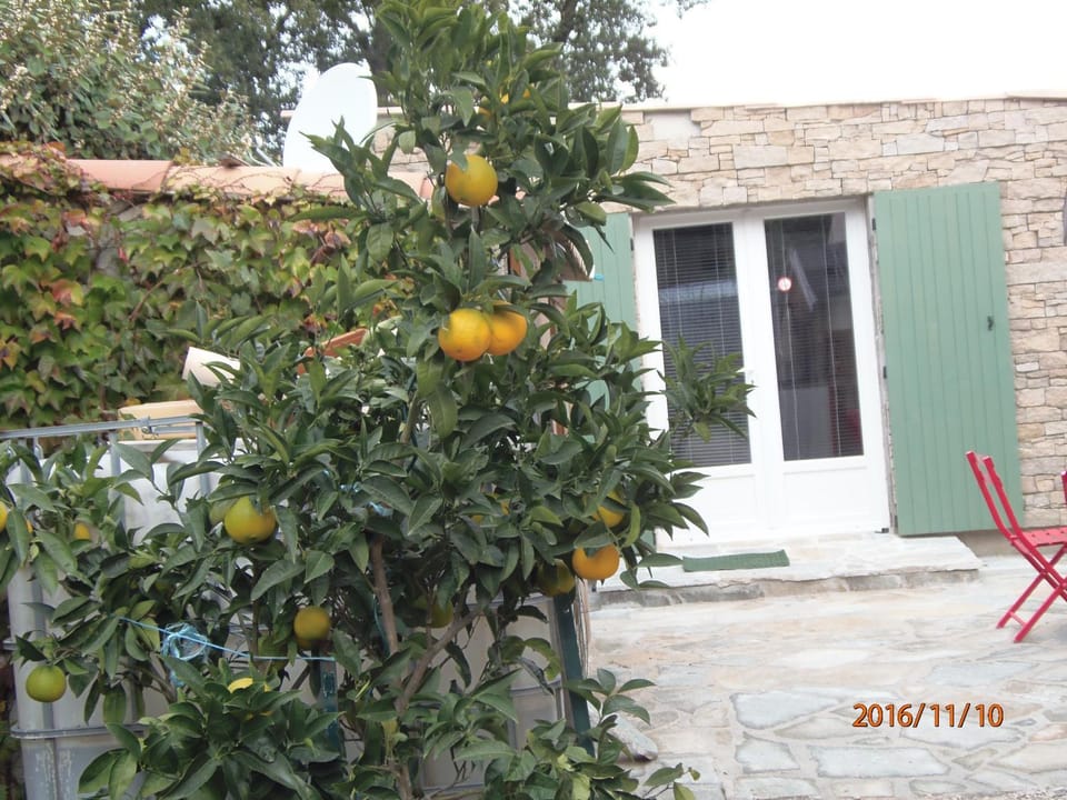 Property building, Garden view