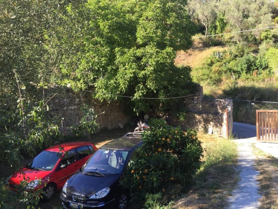 Garden, Garden view