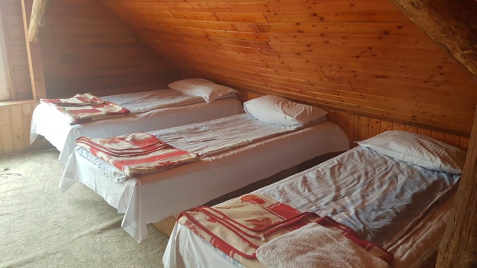 Pension Zamolxe Country House in Serbia