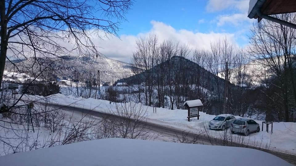 Natural landscape, Ski School, Skiing, Hiking, Mountain view, Street view