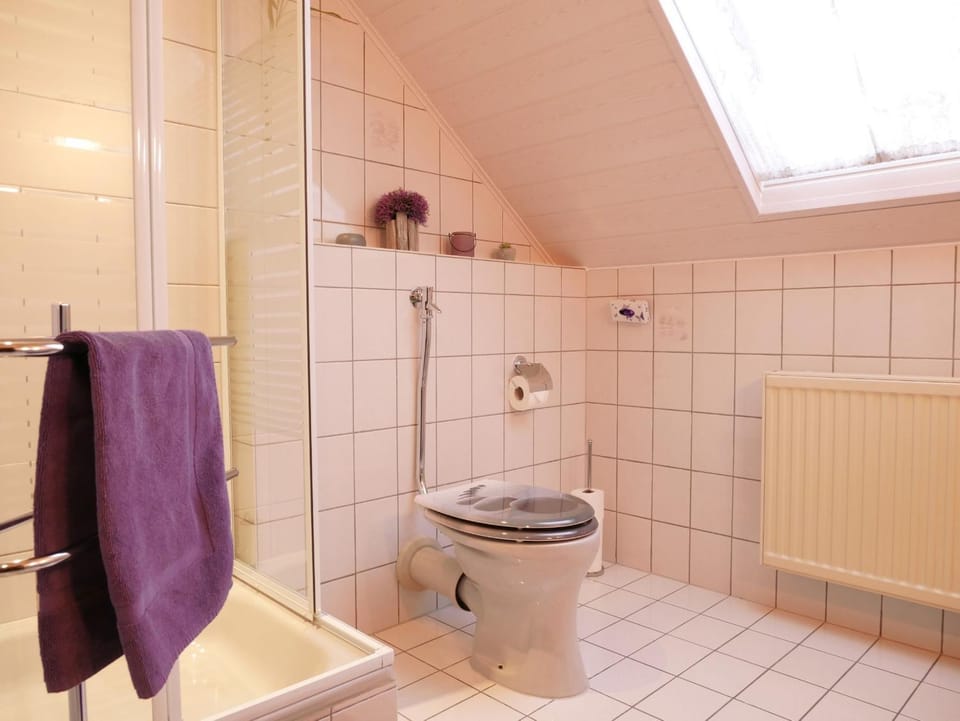 Bathroom, Living room