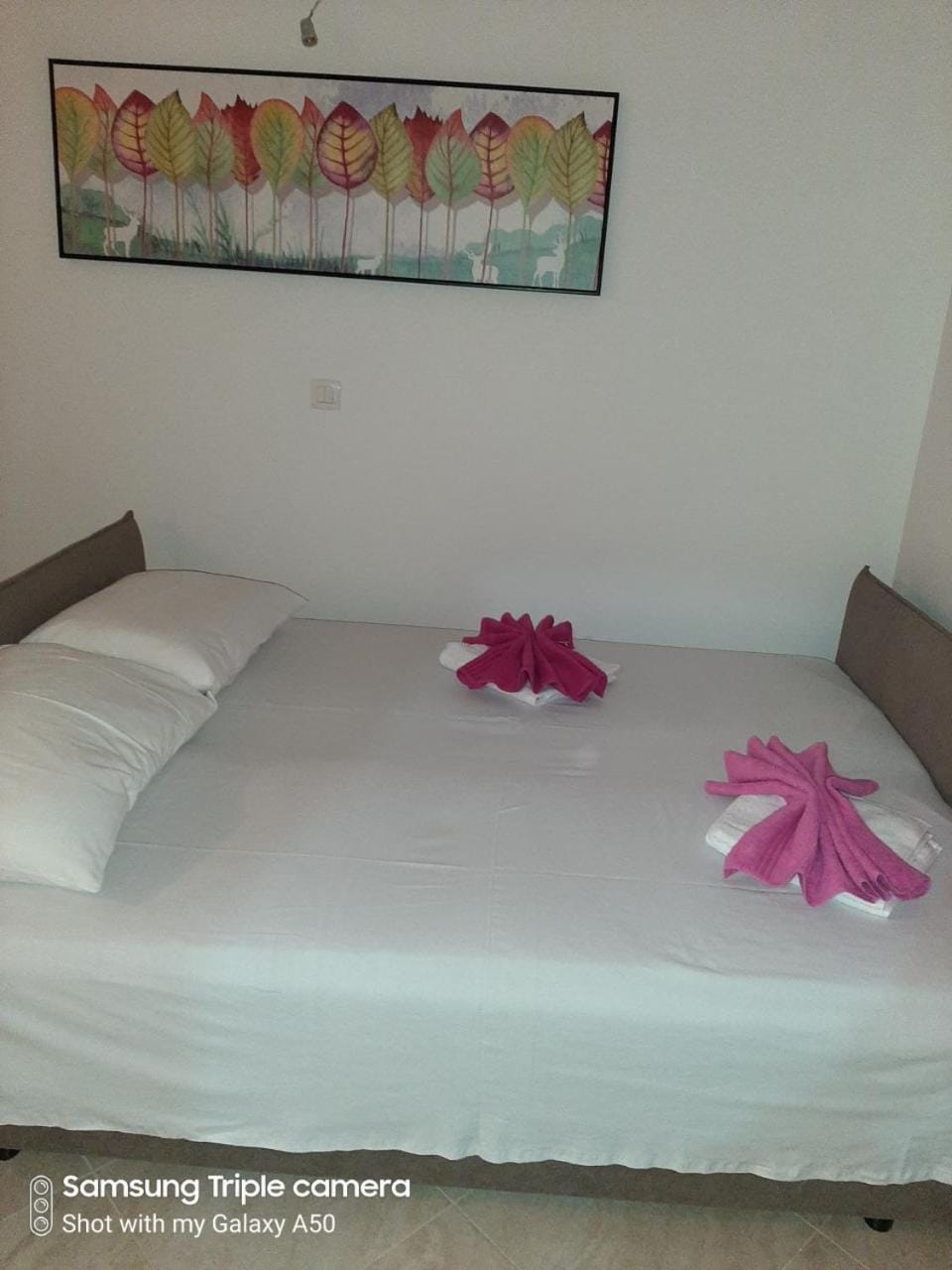 Vila POGLED Apartment in Montenegro