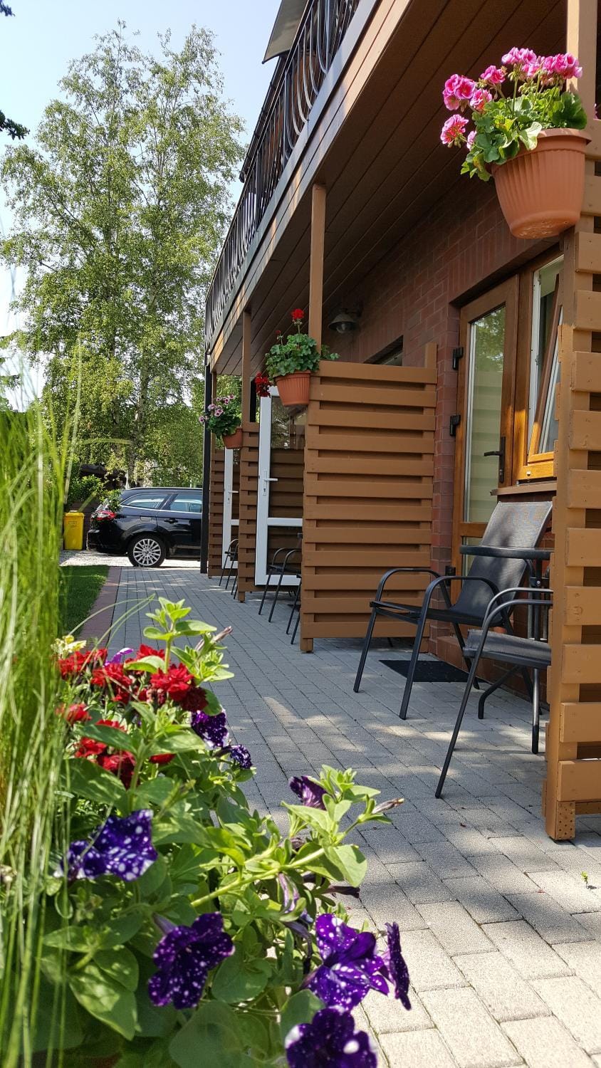 Žuvėdrų kiemelis Apartment in Palanga