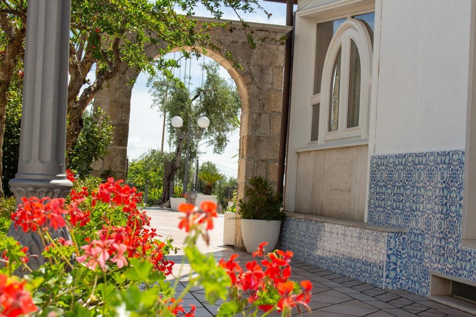 Patio, Garden