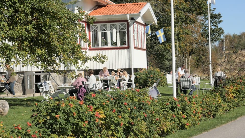 Patio, Garden, Guests, Garden view