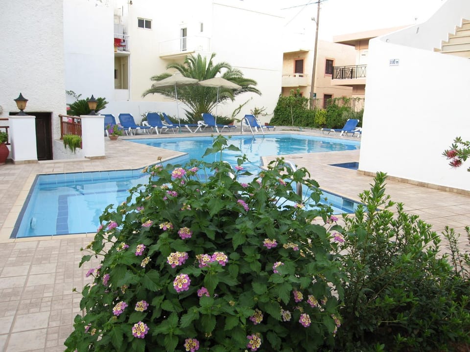Swimming pool, Swimming pool