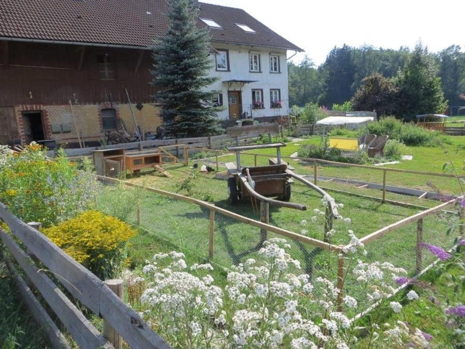 Carlo Apartment in Wangen im Allgäu