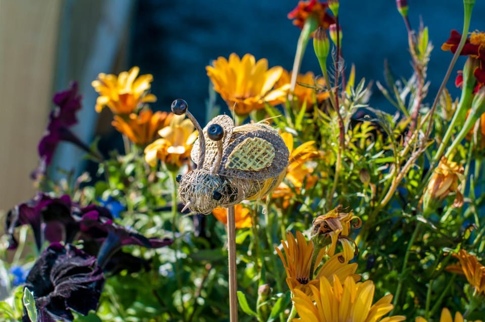 Summer, Decorative detail