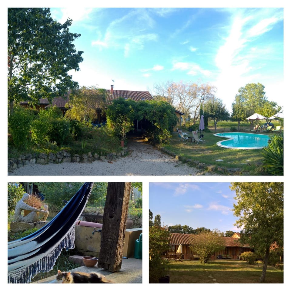 Garden, Garden